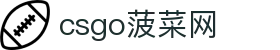 csgo菠菜网(中国区)有限公司官网